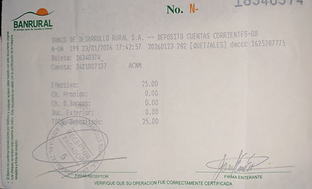 Ejemplo Boleta.jpg