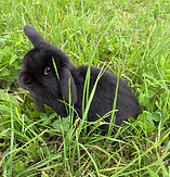 IMG_4117.jpeg