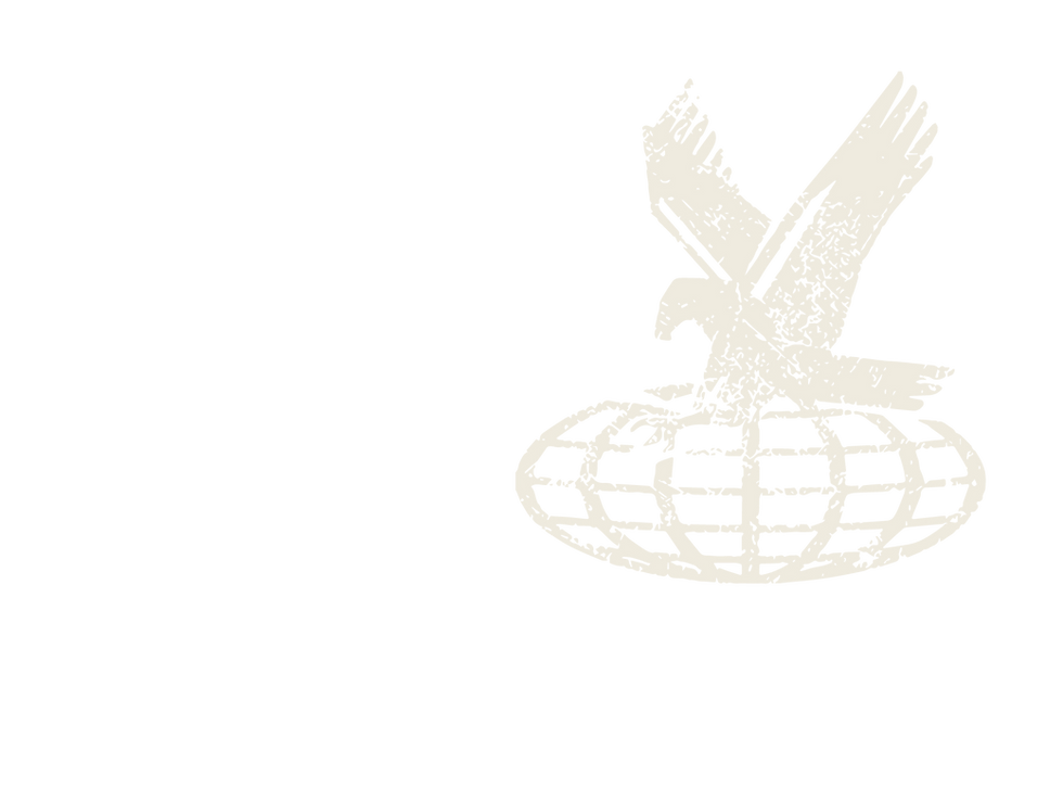 BG IMG.png