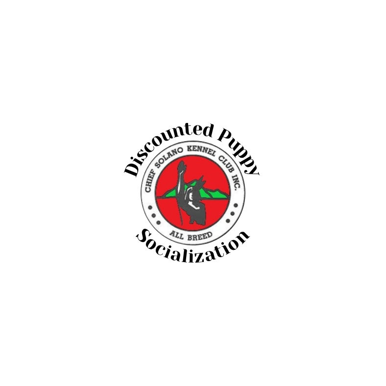 Discounted Puppy Socialization Class *Senior*
