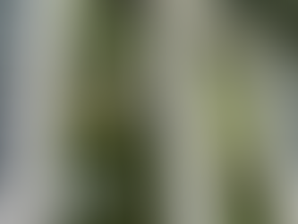 The Benefits of Window Reglazing Services