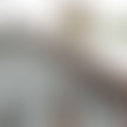 Pokrenut portal „Riđičanka”