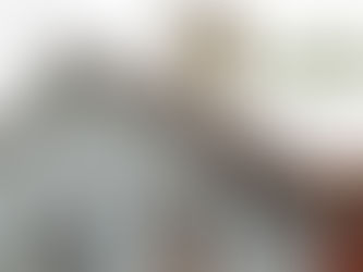 Pokrenut portal „Riđičanka”