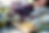 DSC_0001-(14).png