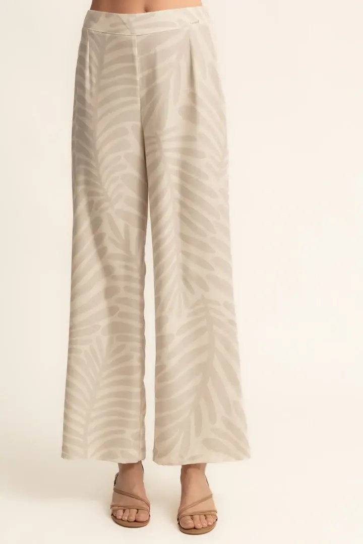 Μικρογραφία: SET CMS