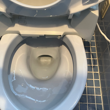 綺麗なトイレの便器