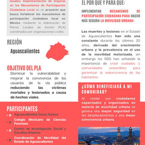 Comités Ciudadanos de Movilidad Segura y Convivencia Urbana