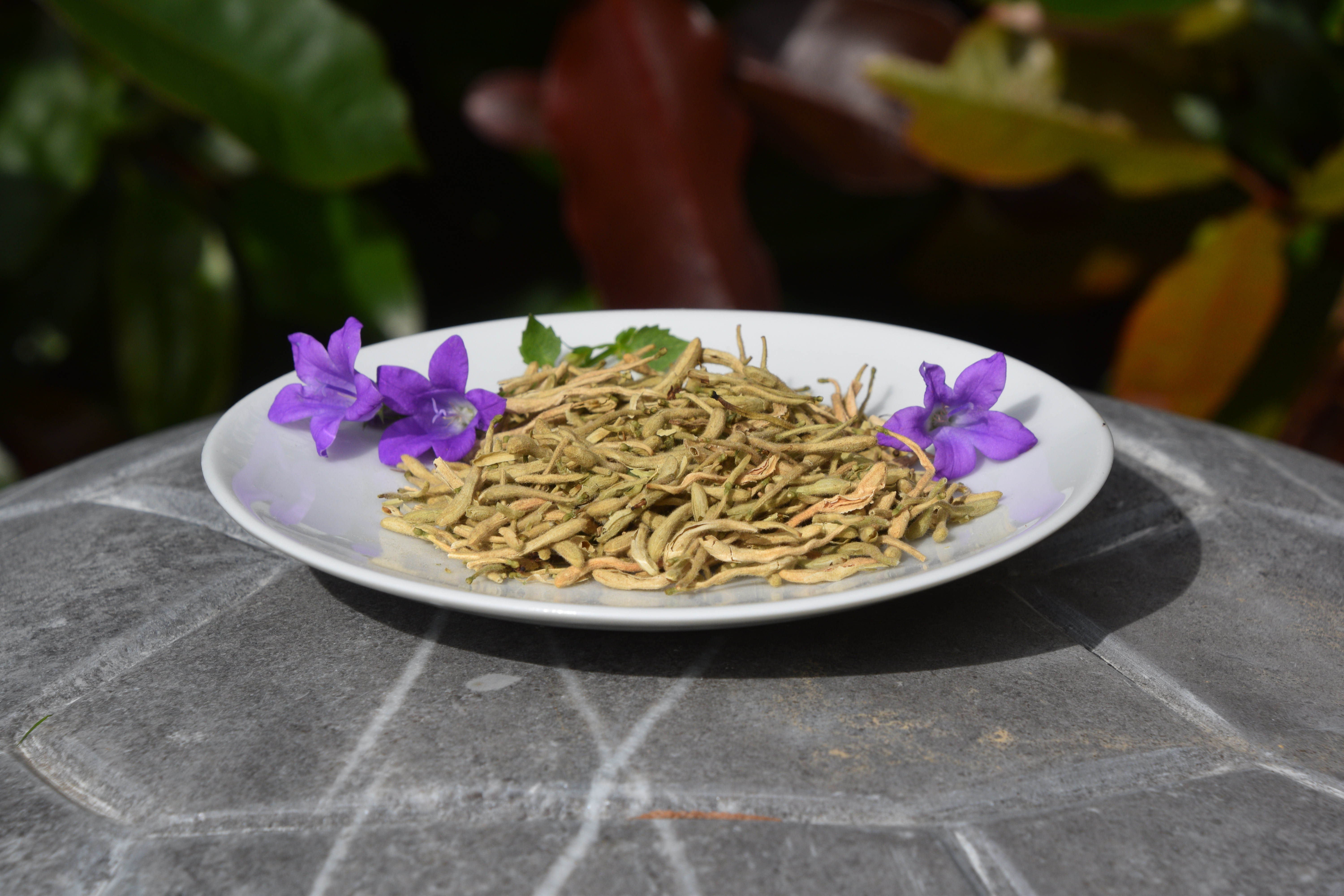 Jin Yin Hua / Honeysuckle