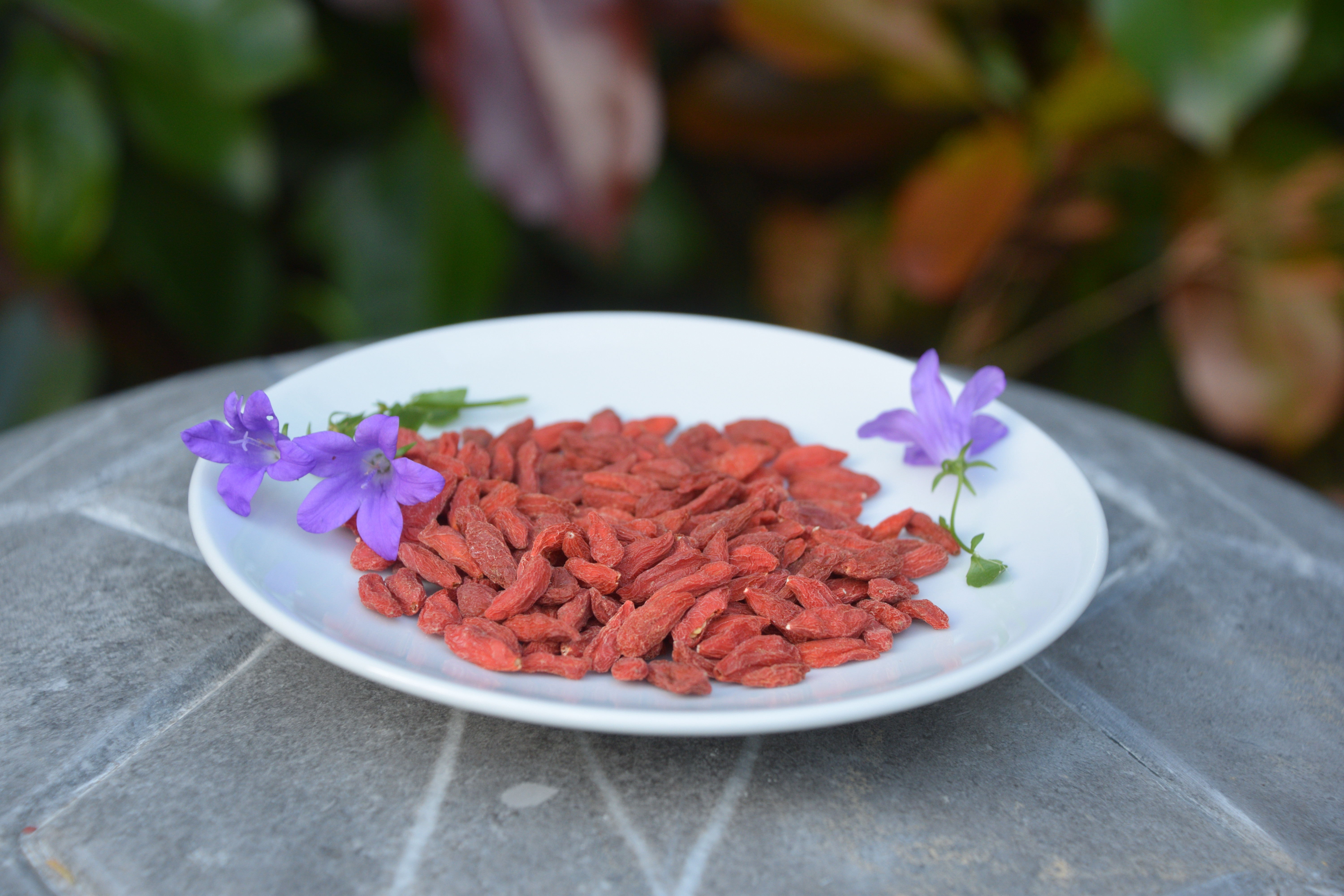 Gou Qi Zi / Wolfberry (Goji)