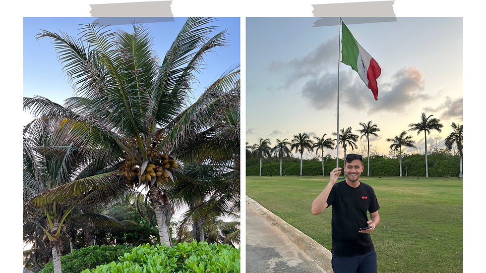 Palmiers sur la plage Xpu-Hà et drapeau du Mexique