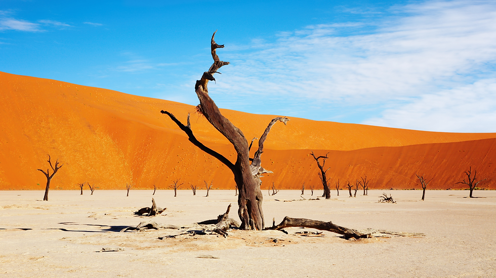 Paysage désertique en Namibie
