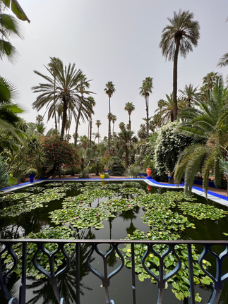 Jardin Majorelle à Marrakech