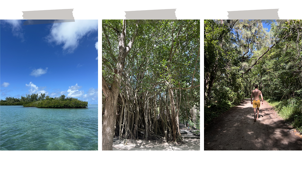 Île aux Cerfs à l'Île Maurice