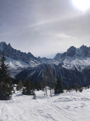 Paysage montagne