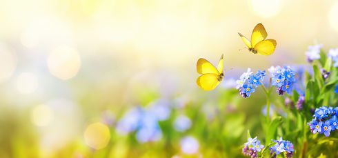 AdobeStock_348298545.jpeg