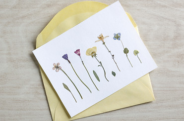 Photo of pressed flowers