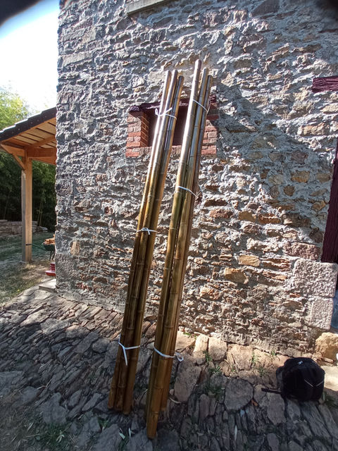 canne de bambou, bambou, bambou sec, gazebo, pergola