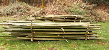 canne de bambou, bambou, bambou sec, gazebo, pergola