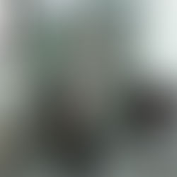 Dr. Hira Khalid, Pakistan