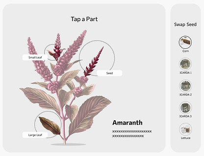 A screen with an illustration of an amaranth plant with sections of the plant highlighted and labeled. There is a right side vertical menu with 5 other plant icons.