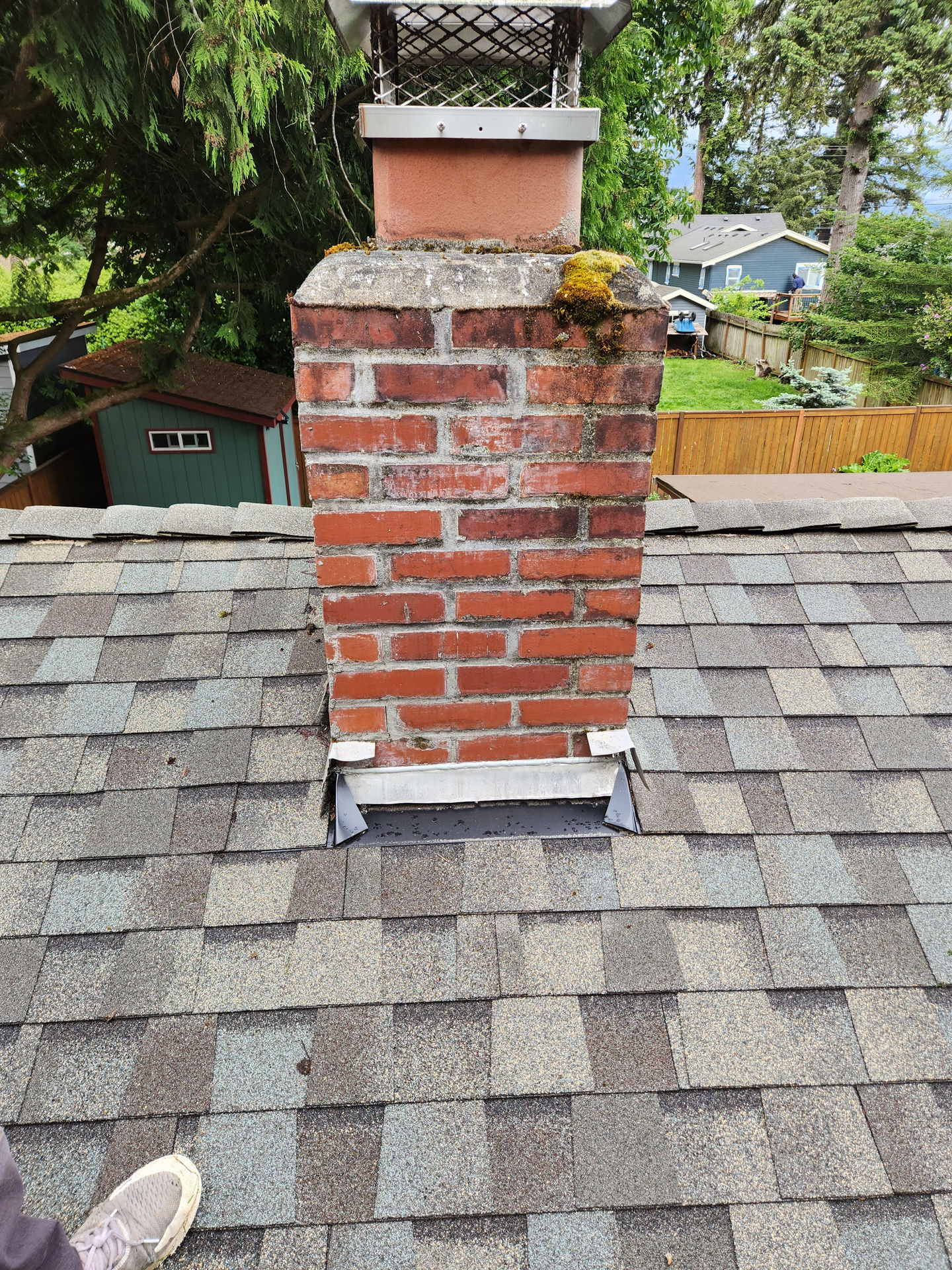 Before (other side): organic growth, dusty mortar joints, cracked flue liner, failed flashing, leaking cap