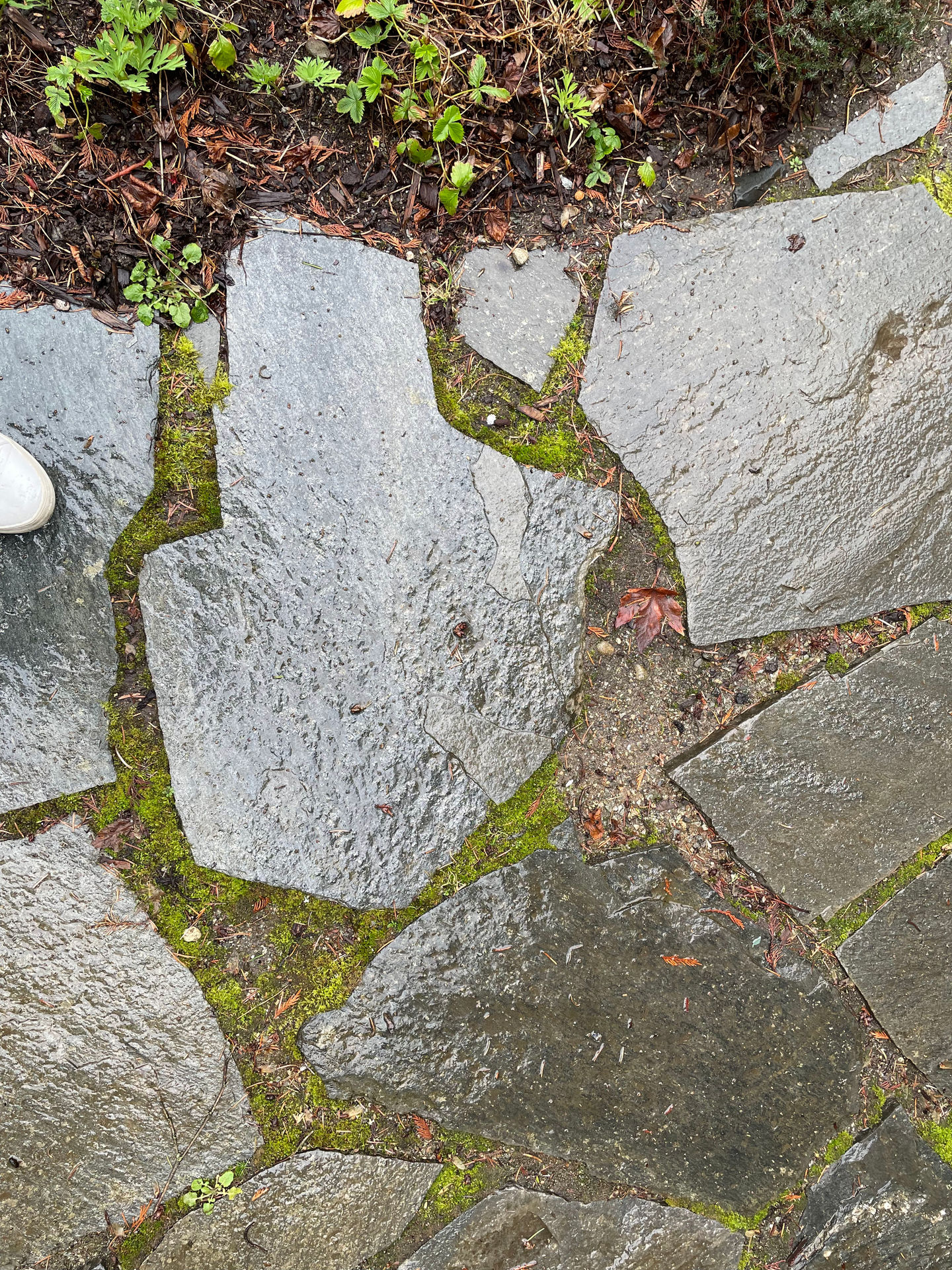 Original state of flagstone walkway