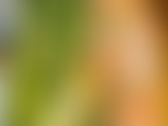 Salmon and Asparagus