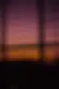 VEINTE_Sunrise.webp