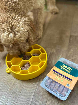 dog eating raw dog food from a yellow bowl on a wooden floor