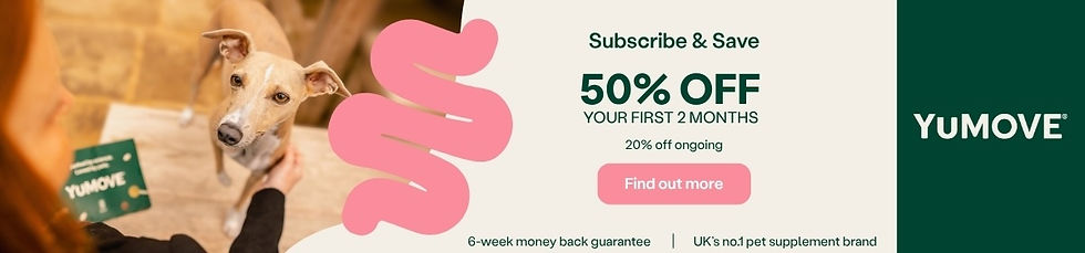 Dog being petted beside Yumove ad with Subscribe & Save, 50% off first 2 months, Find out more button on cream and green background