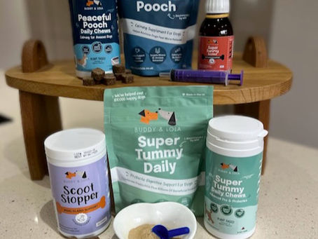 Buddy & Lola's Dog Supplements Review : Nourish Your Dog's Wellbeing