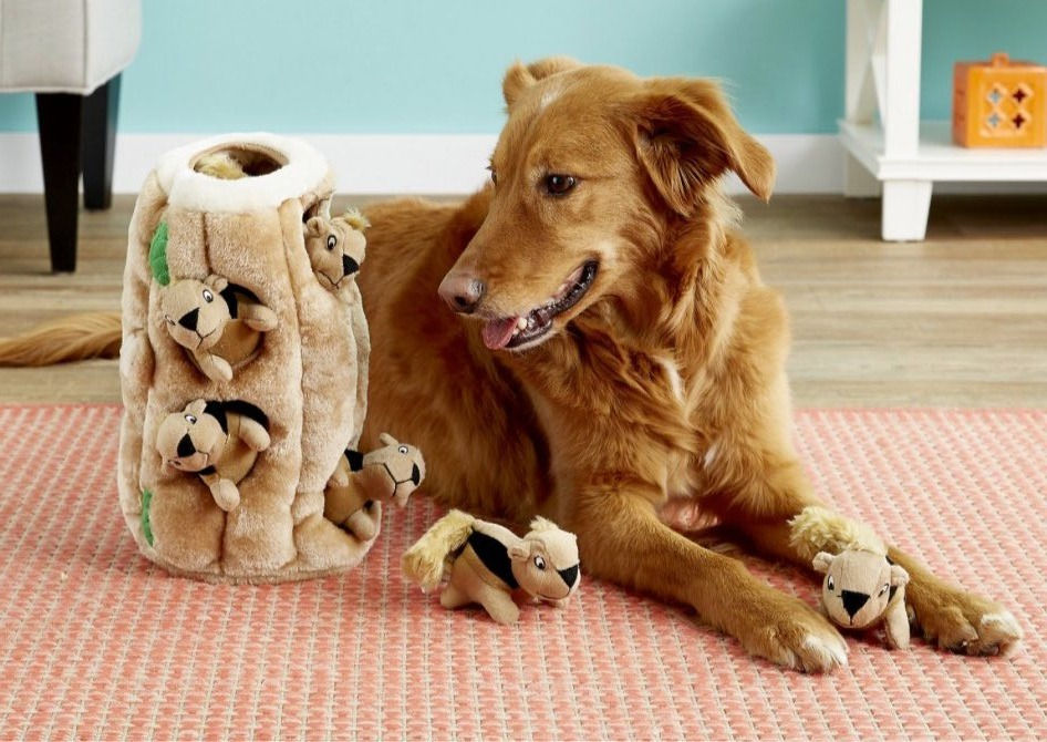 top interactive dog toys