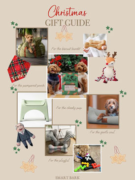 Christmas Gift Guide for dogs
