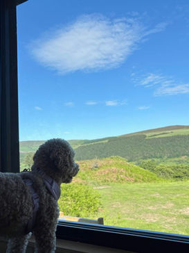 Dog looking out cabin window at hills and blue sky