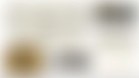 selection of Pup & Kit dog accessories