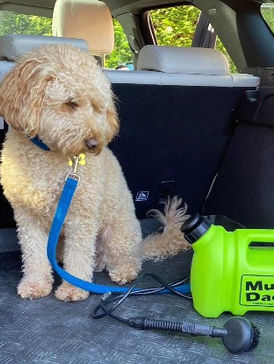 From Muck to Magic: The Mud Daddy Portable Dog Washer Test