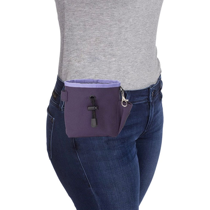 Top 10 Stylish Dog Treat Bags and Pouches Smart Bark