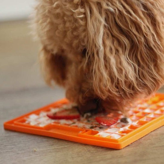Best Lick Mats for Dogs Smart Bark