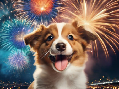 anxious dog with fireworks