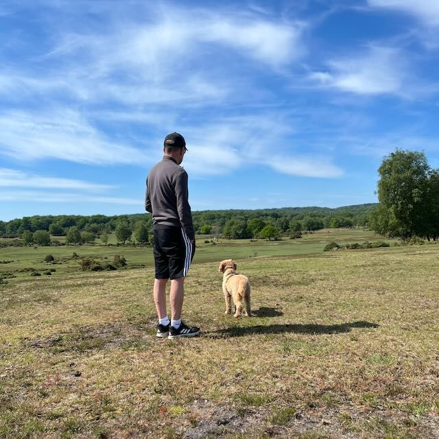 Man in sportswear and dog stand in grassy field under blue sky with clouds. New Forest in the distance, peaceful and bright setting.