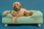 Dog on Omlet Topology dog bed