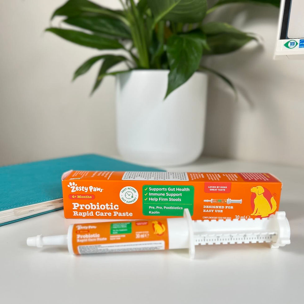 Orange Zesty Paws probiotic paste box and syringe on a desk, with a potted green plant in the background.