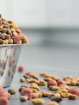 Grain Free Dog Food - The Inside Story