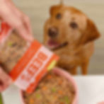 Butternut dog food in a bowl