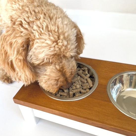 Curly tan dog eats kibble from a metal bowl on a wooden feeder beside an empty water bowl.