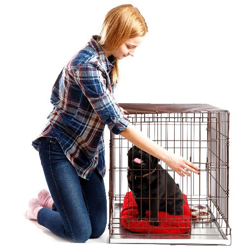 Best Dog Crates & Accessories UK (2022) Smart Bark