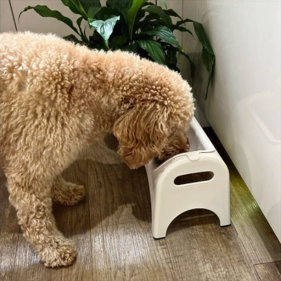 Easy Eat range of dogs bowls