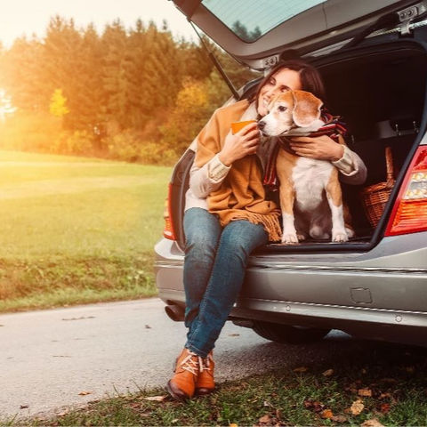 Best Car Boot Liners for Dogs 