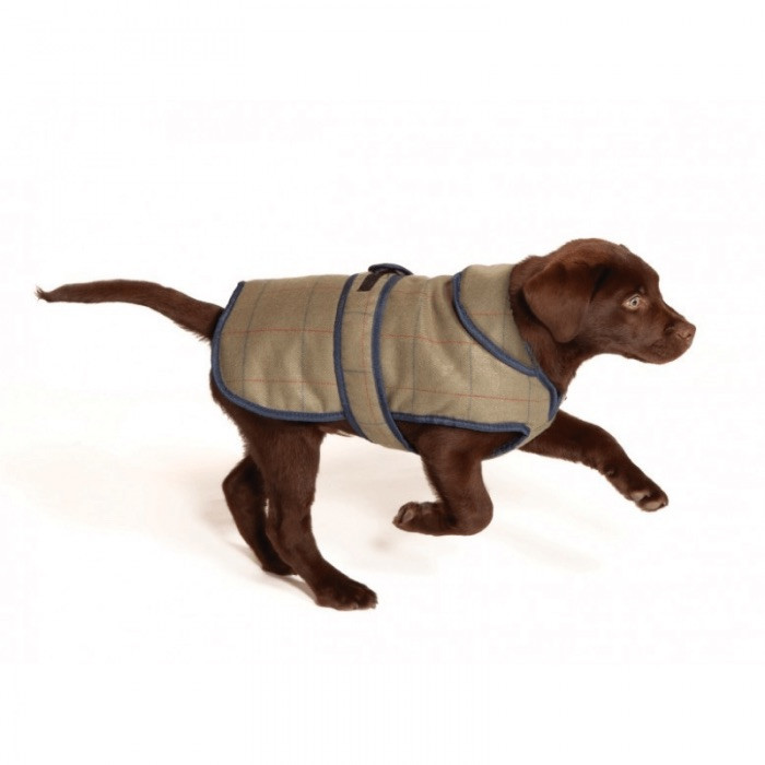 Top 10 Dog Coats UK Winter, Waterproof or Wool Dog Coats Smart Bark