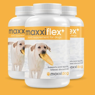 maxxiflex dog joint supplement